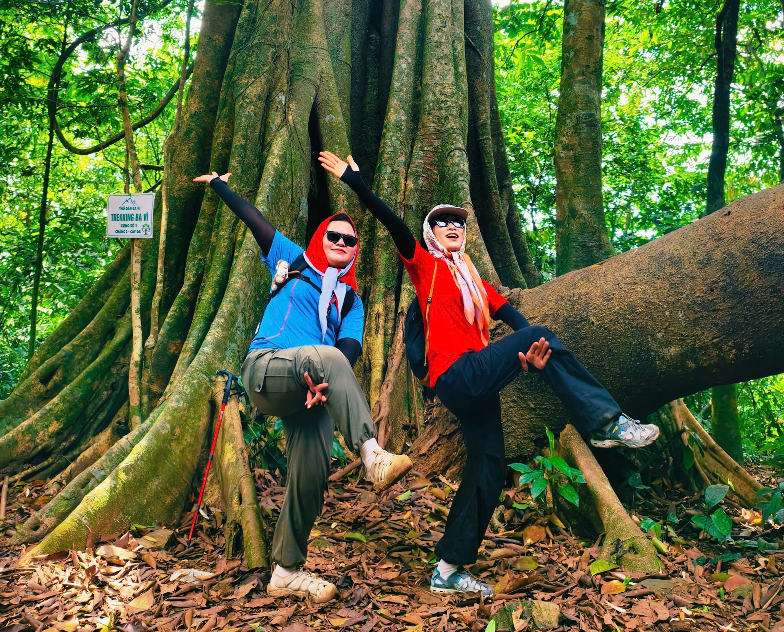 Hai thành viên check-in bên cây cổ thụ trên cung trekking Ba Vì