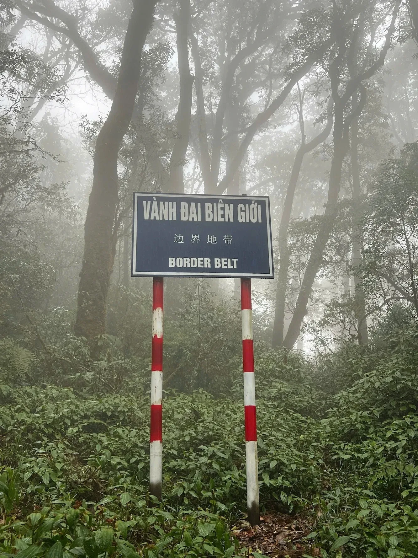 Biển vành đai biên giới giữa khu rừng phủ sương