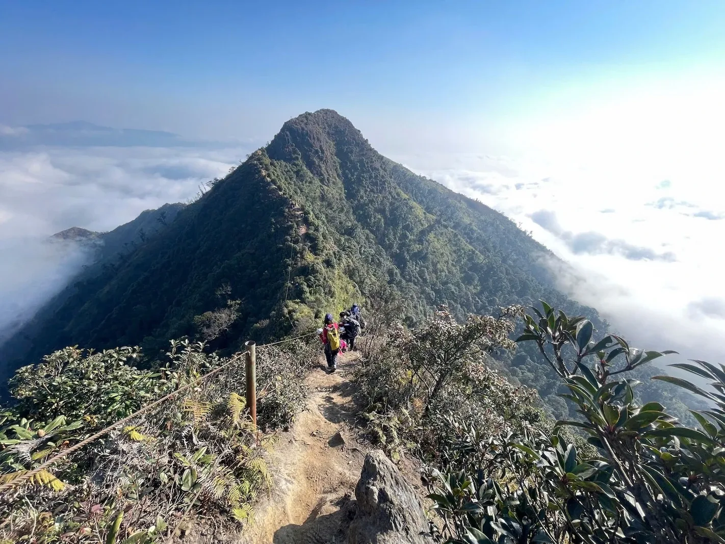Đoàn trekking đi trên sống núi xanh nhô lên giữa biển mây