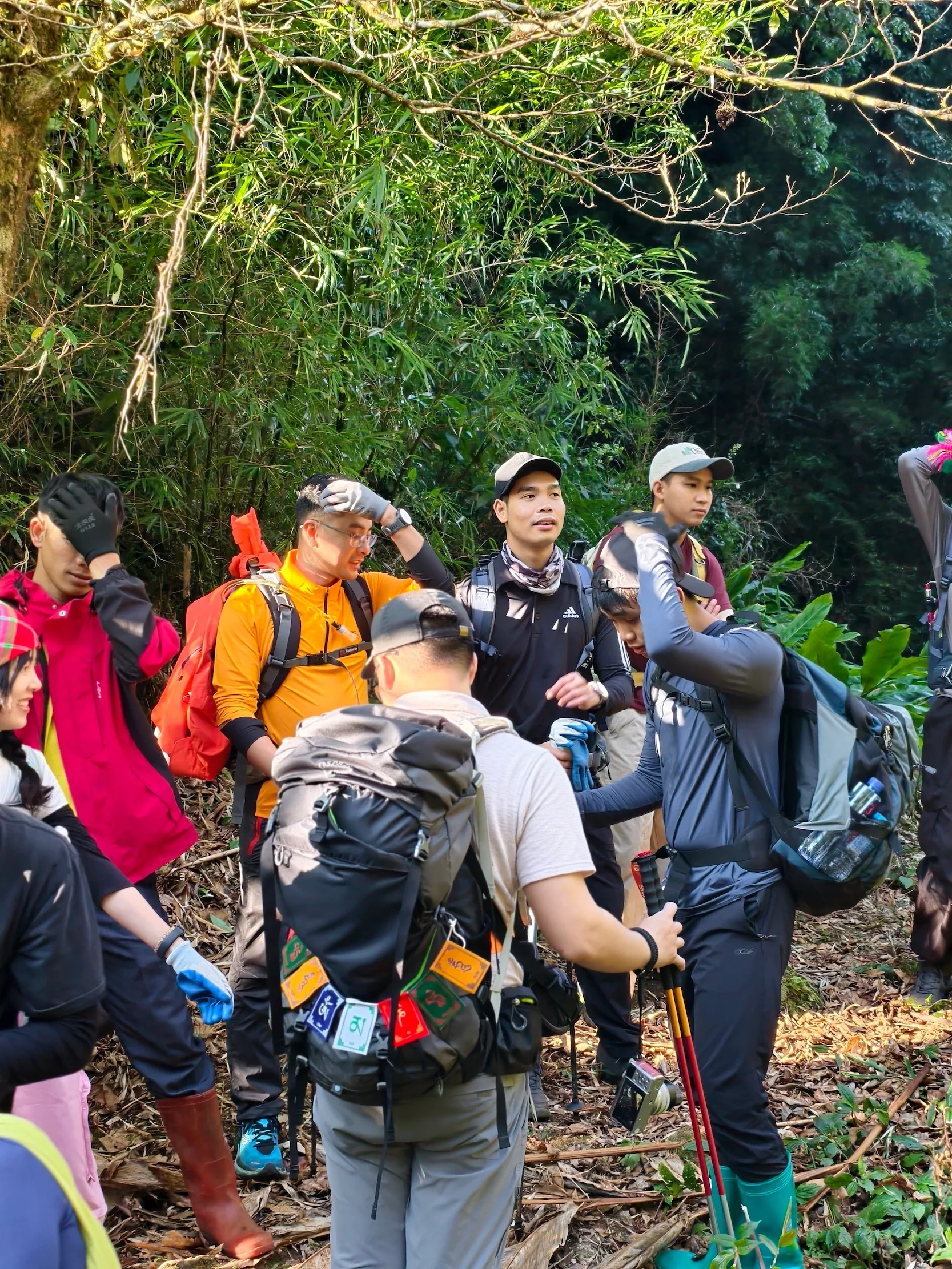 Đoàn trekking tập trung cùng những chiếc balo trên đường rừng