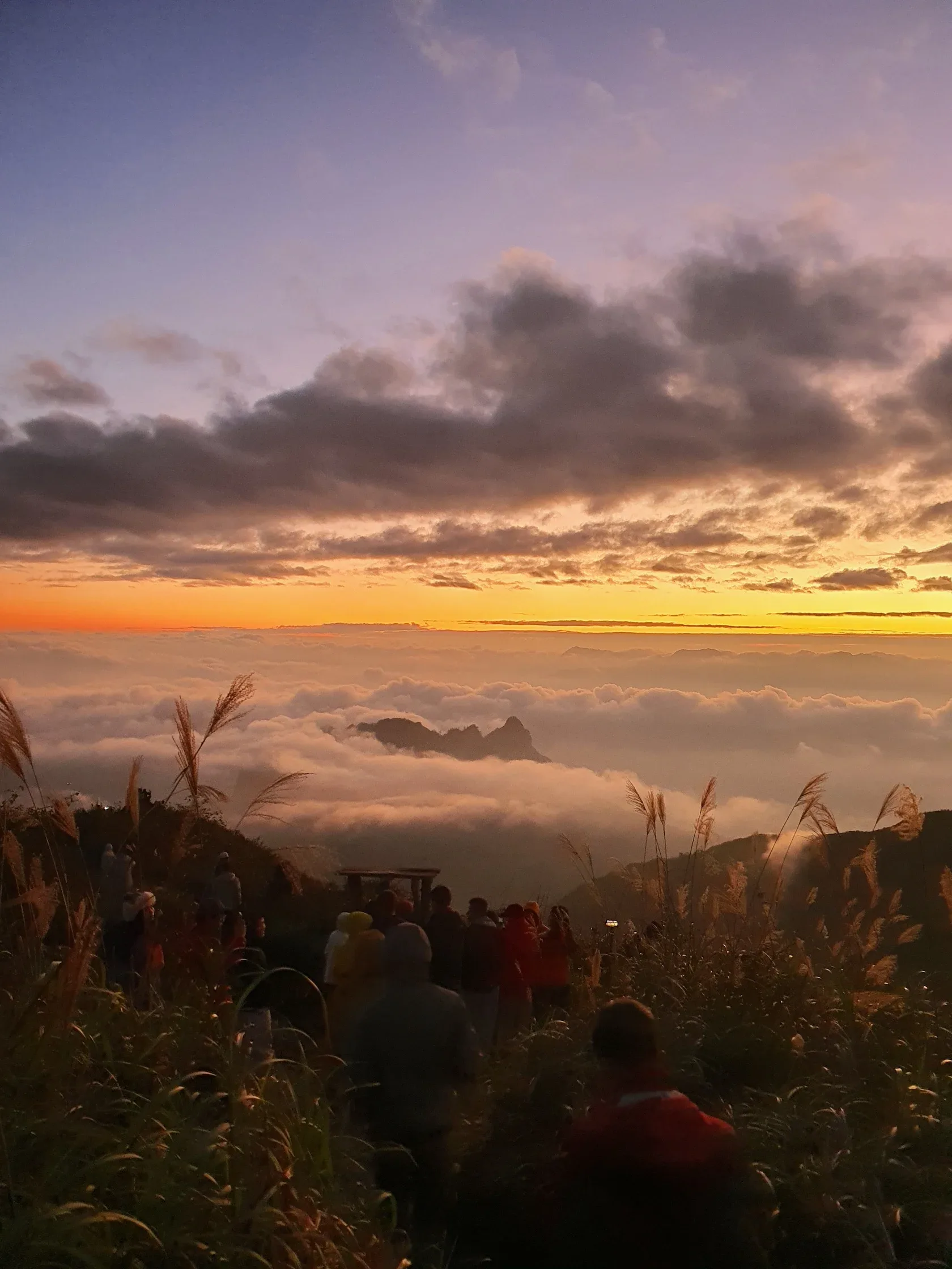 Du khách trekking giữa biển mây lúc bình minh