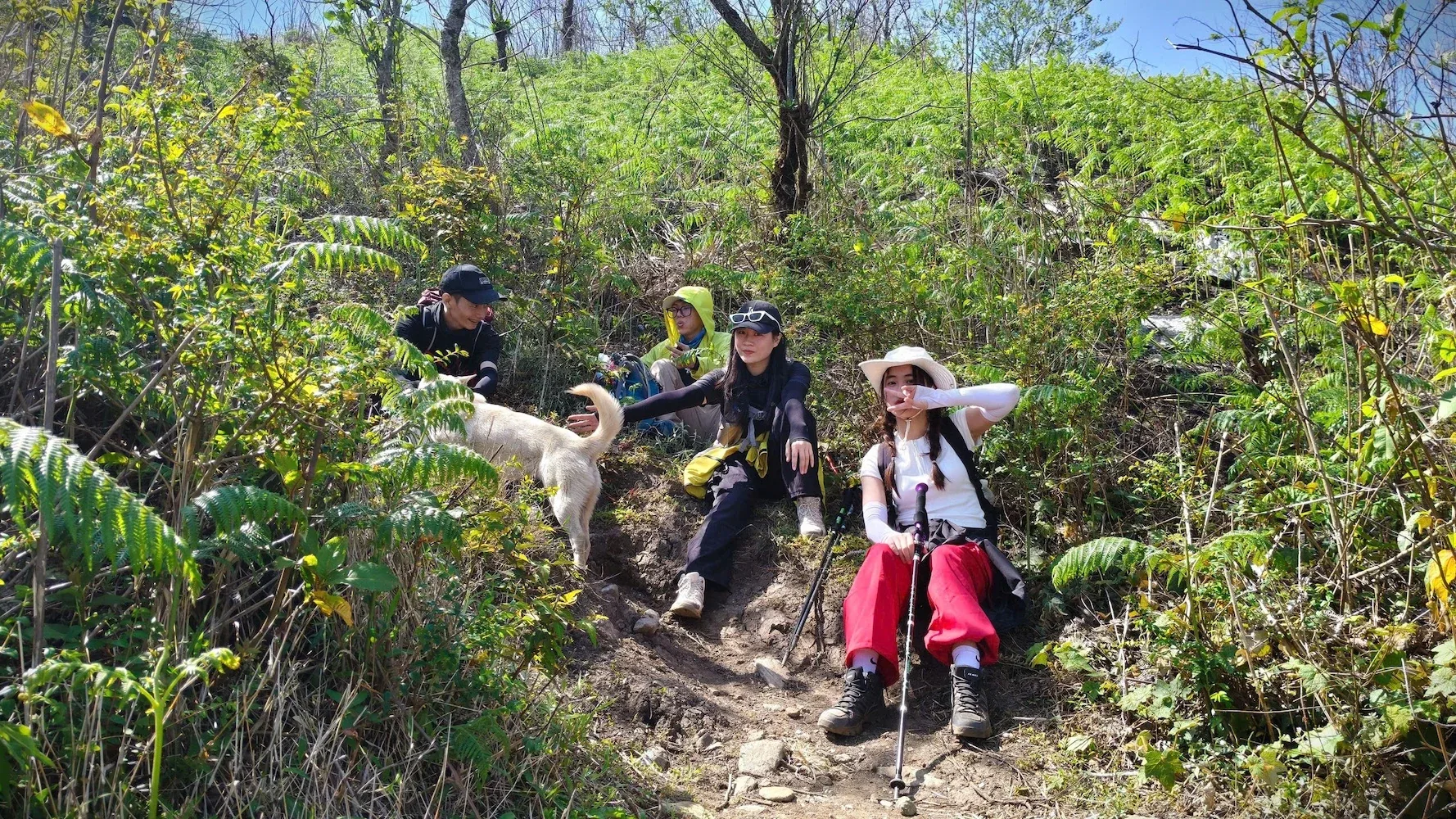 Nhóm trekking đi xuống lối mòn dốc giữa cây bụi