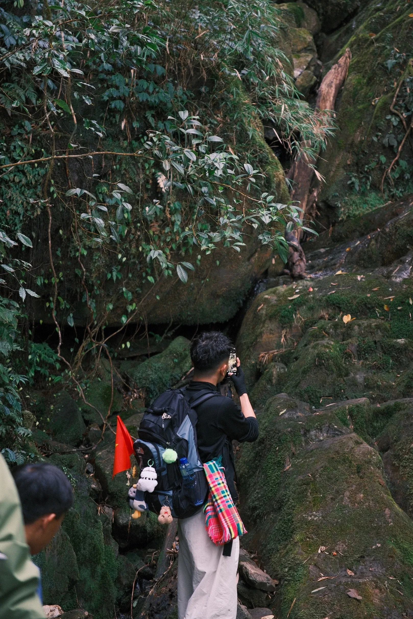 Đoàn trekking leo qua lối đá dốc dưới tán rừng