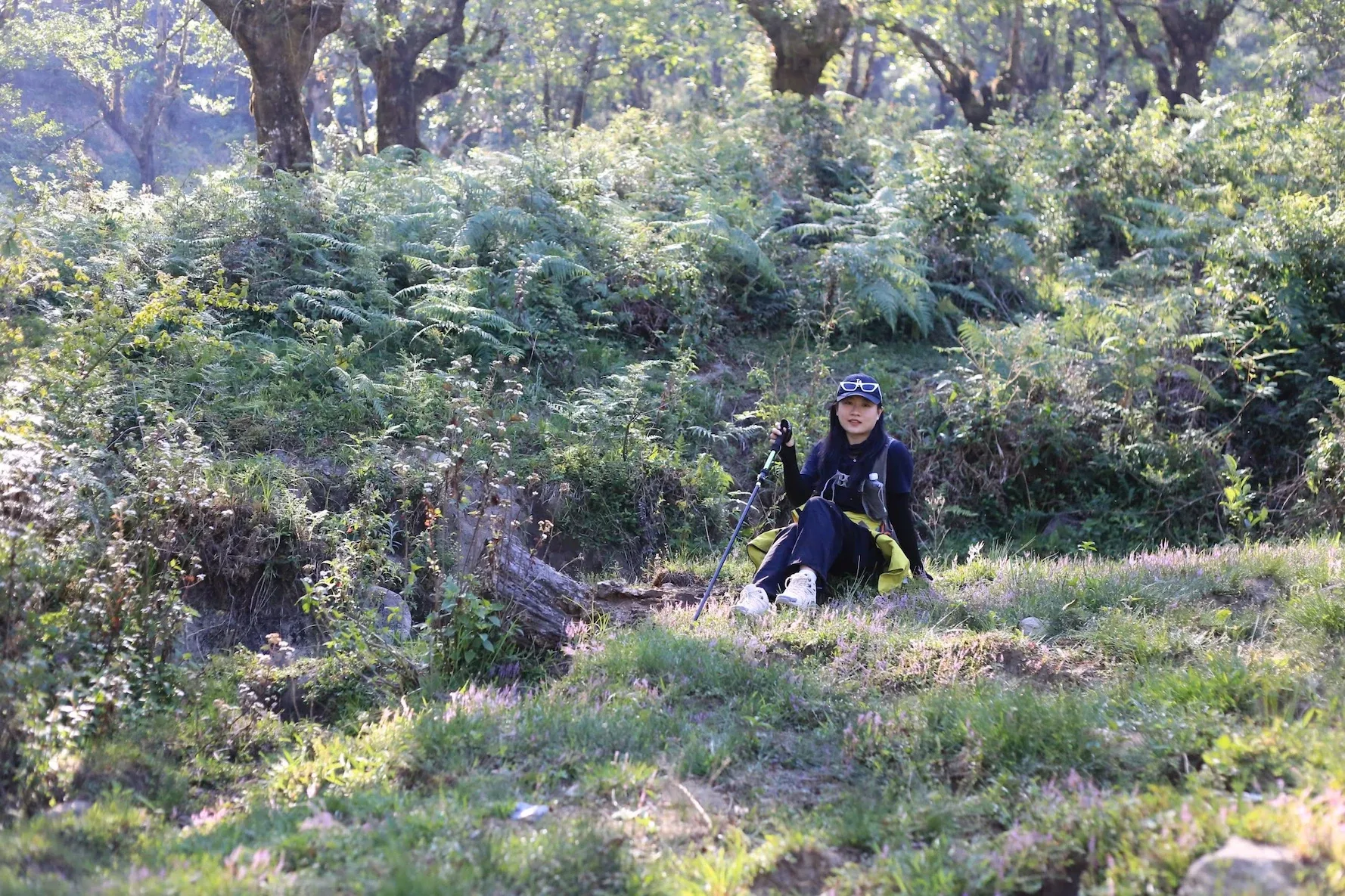 Du khách ngồi nghỉ bên gậy trekking giữa khu rừng xanh