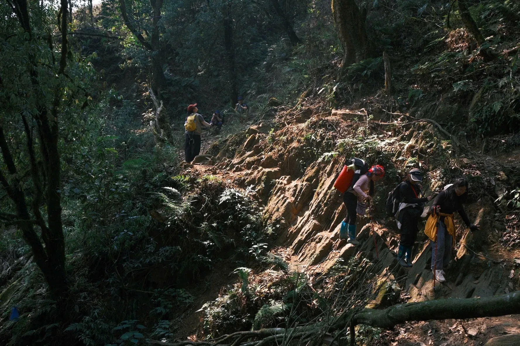 Đoàn trekking vượt lối đá dốc giữa khu rừng