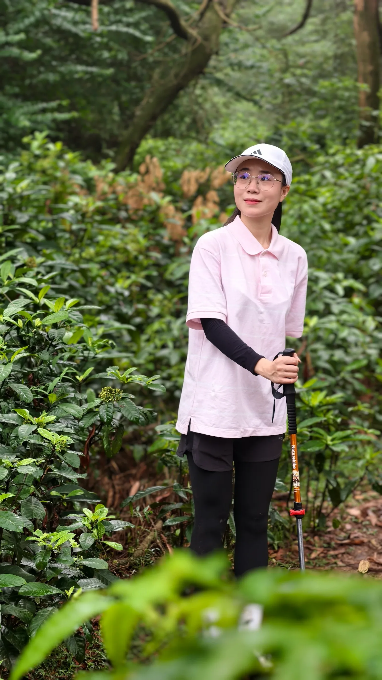 Nữ du khách áo hồng đứng cùng gậy trekking trên đường rừng Hàm Lợn