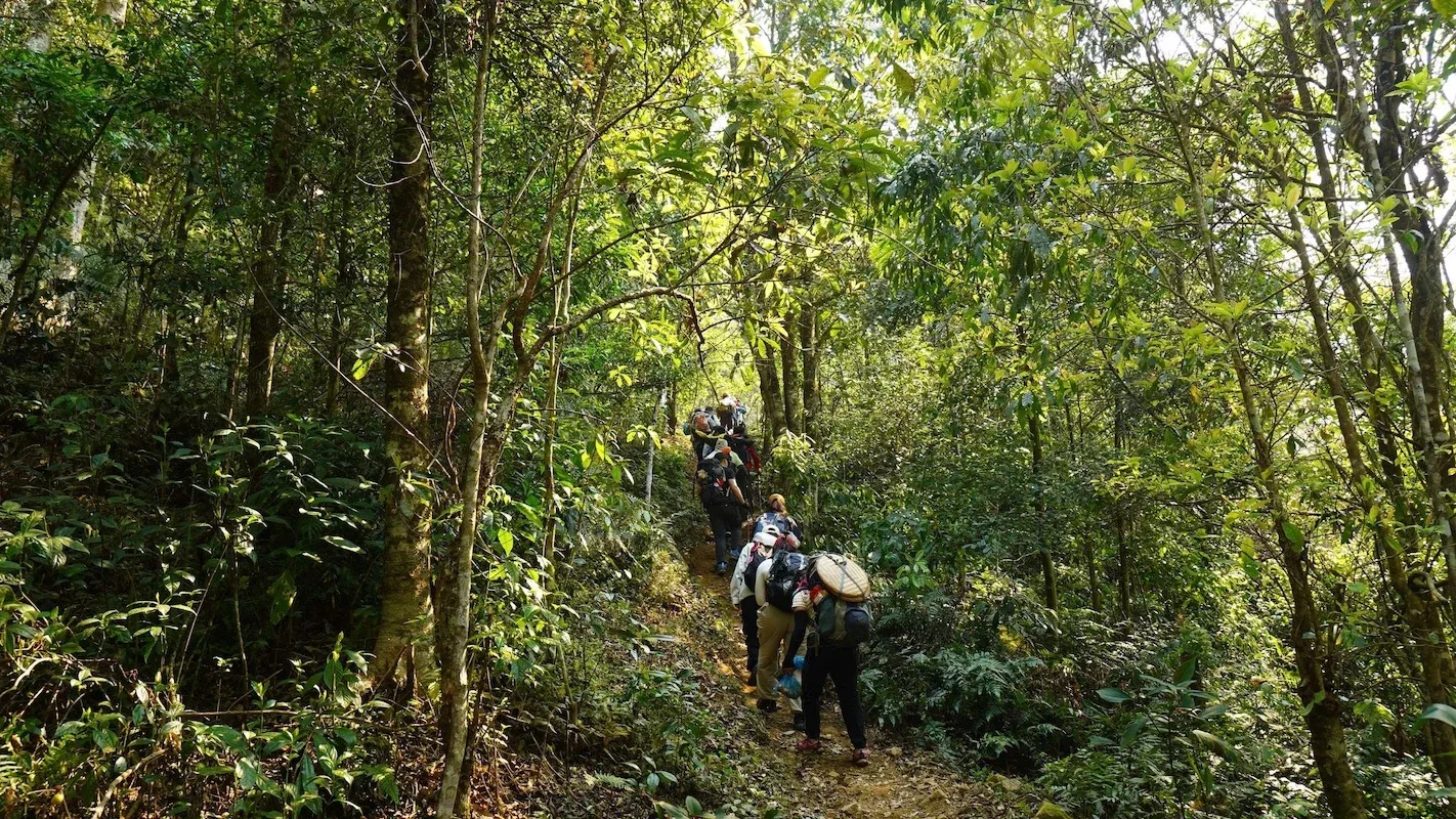 Đoàn trekking đi trên lối mòn giữa khu rừng rậm