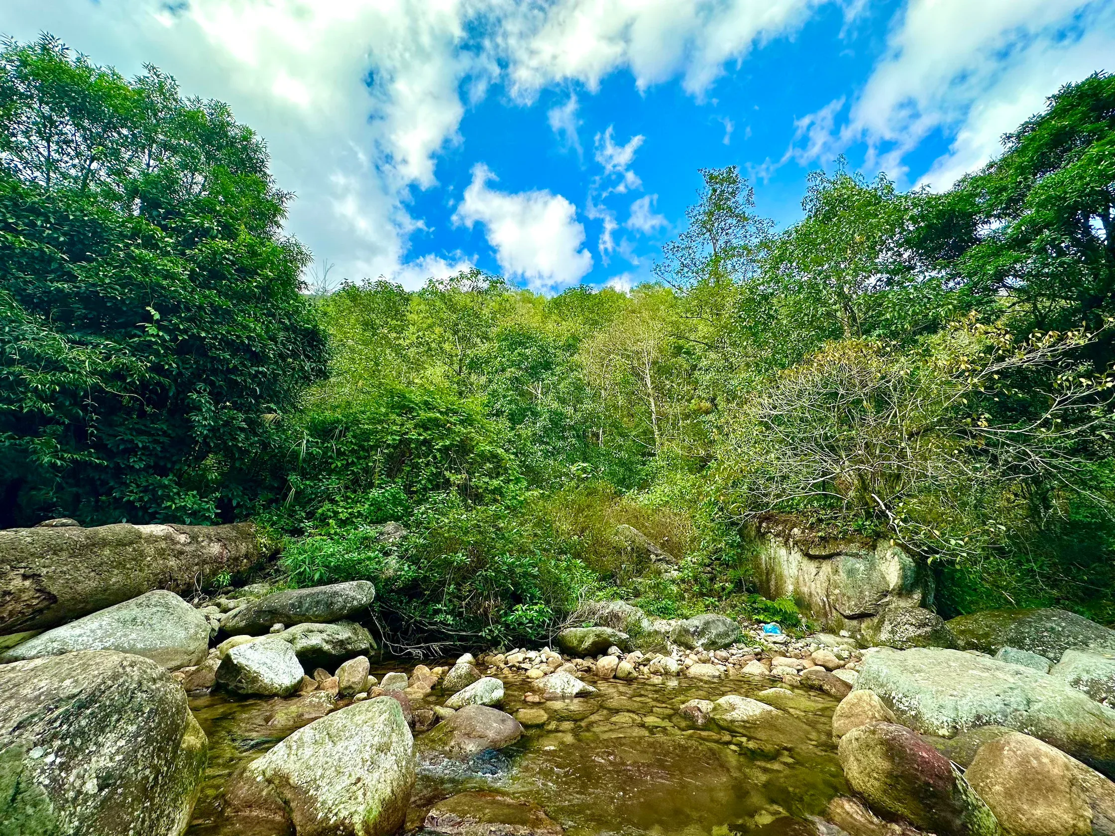 Suối đá chảy giữa rừng xanh trên cung trekking Ky Quan San