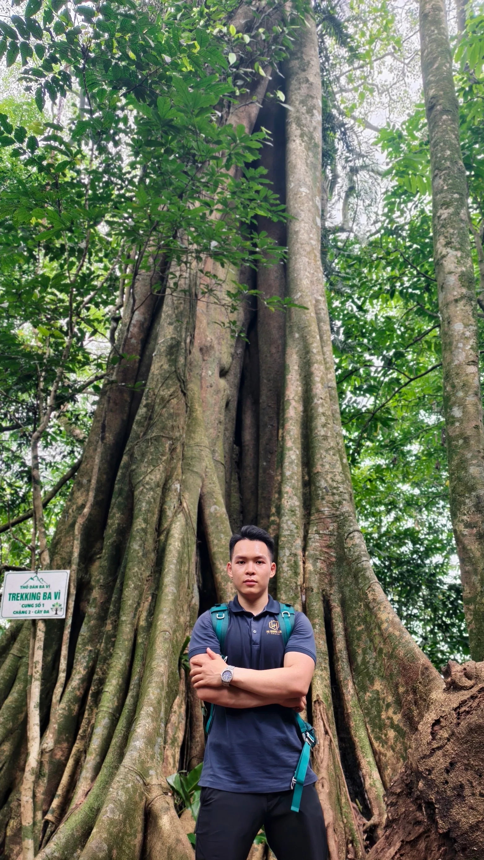 Thành viên đứng dưới gốc cây cổ thụ trên cung trekking Ba Vì