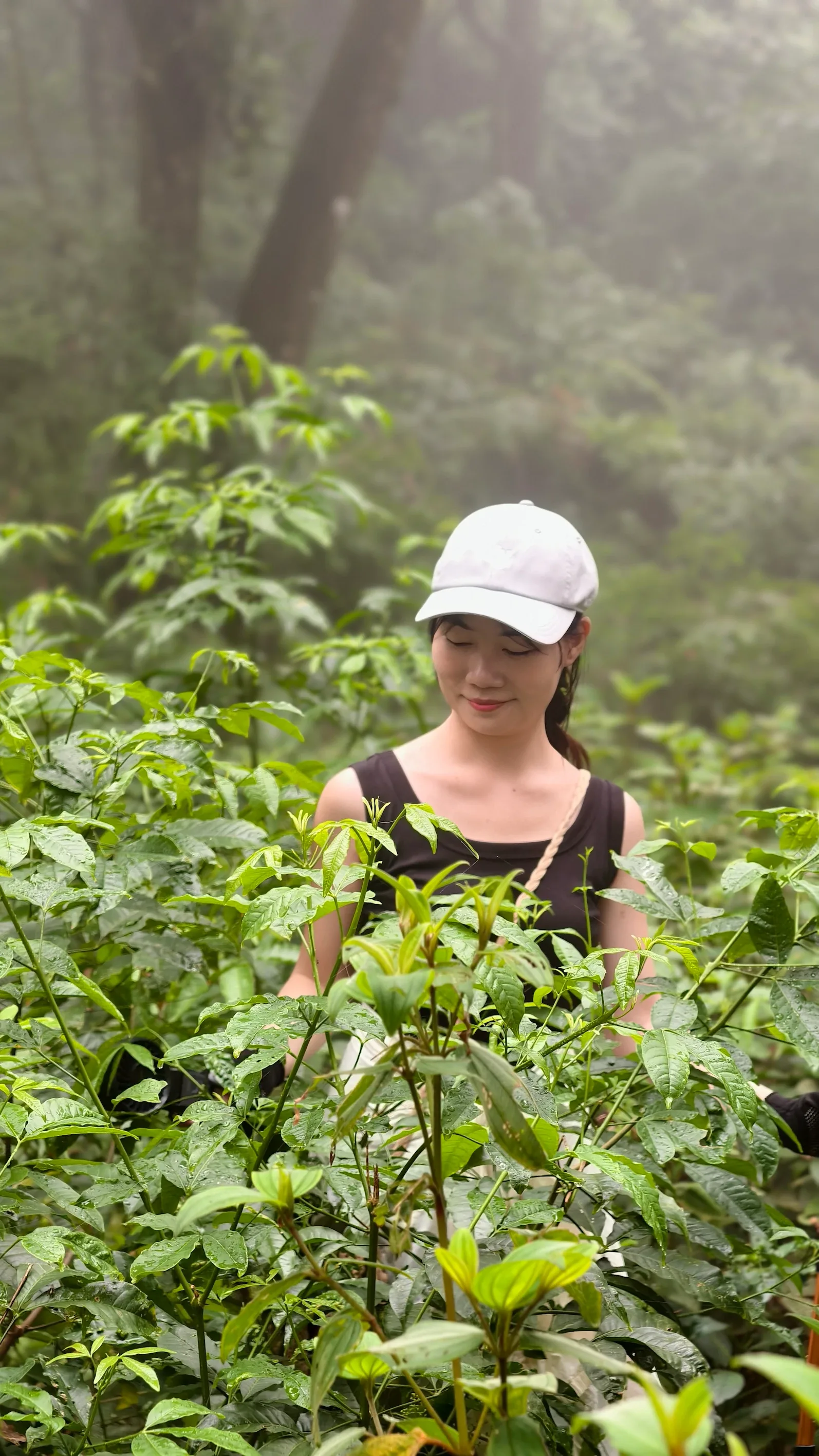 Nữ du khách đội mũ trắng đứng giữa bụi cây xanh trong sương rừng