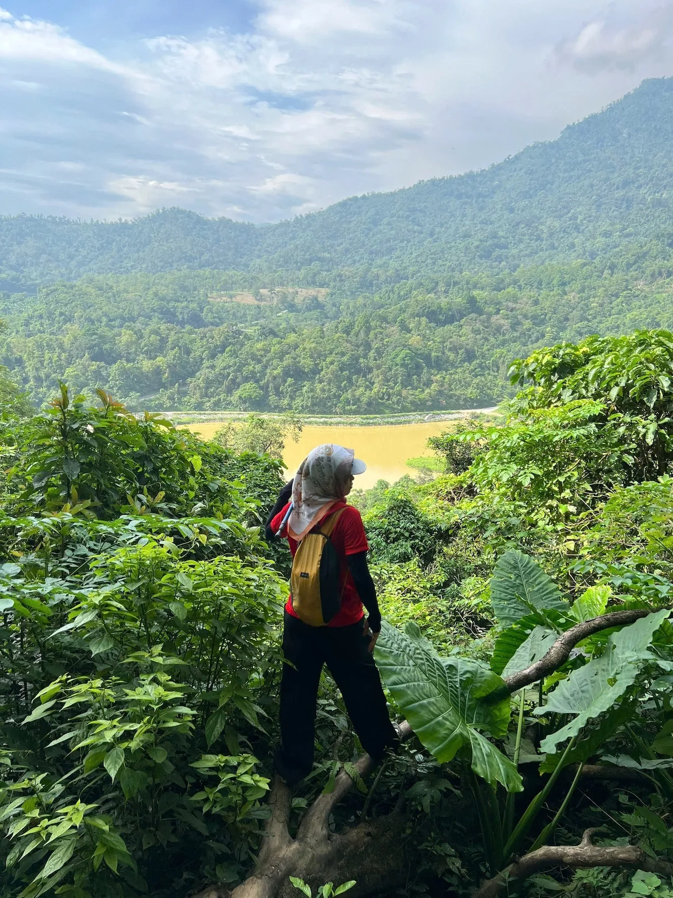 Thành viên ngắm thung lũng xanh từ đường mòn trekking Ba Vì