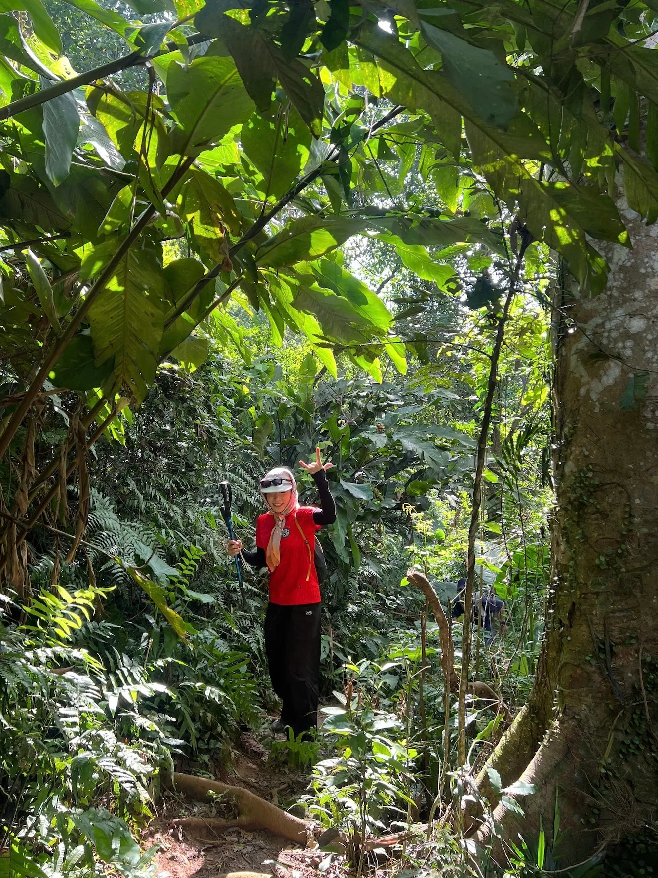 Thành viên đi bộ dưới tán rừng xanh trên cung trekking Ba Vì