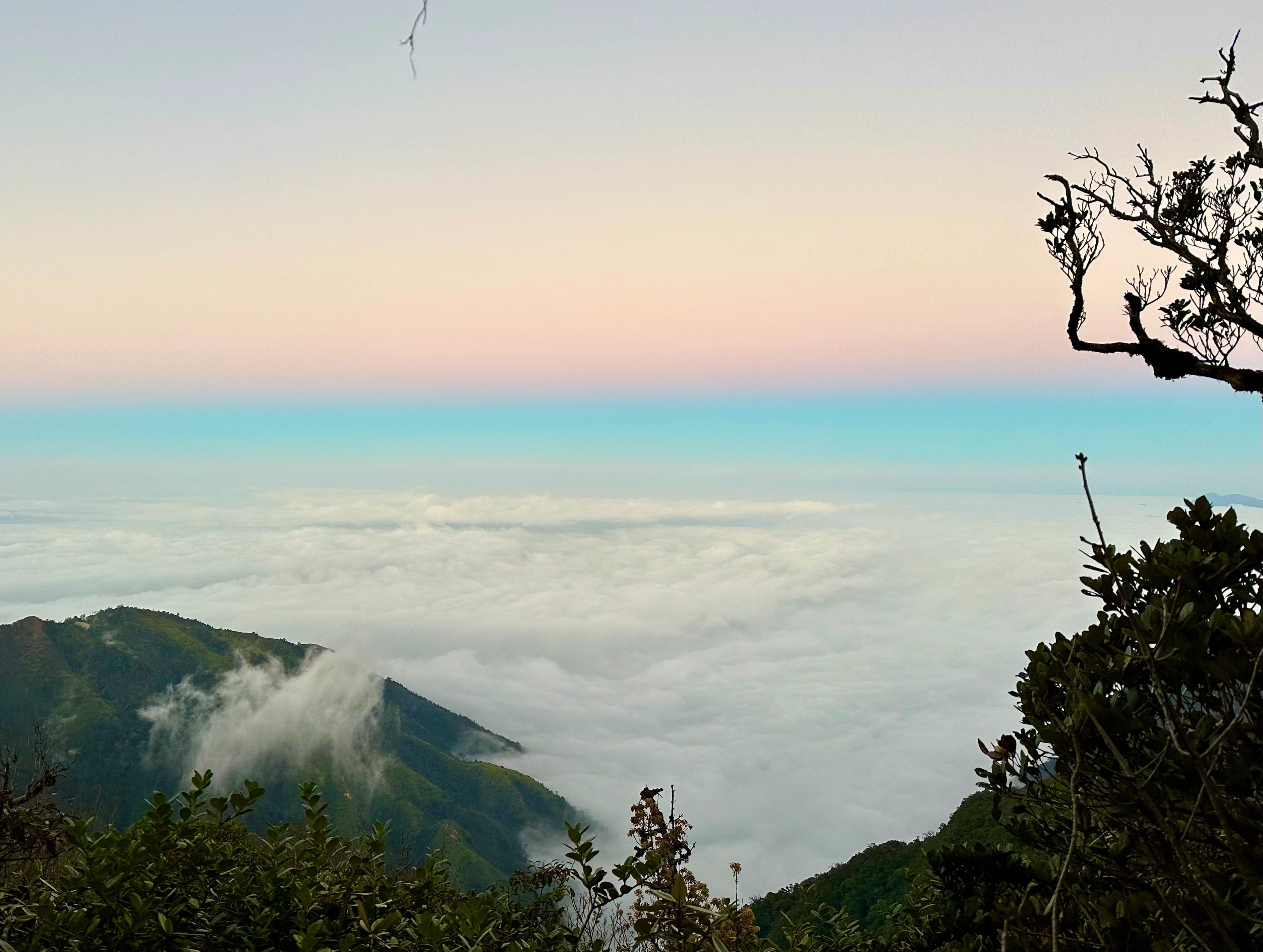 Biển mây pastel phủ quanh sườn núi trong ánh bình minh