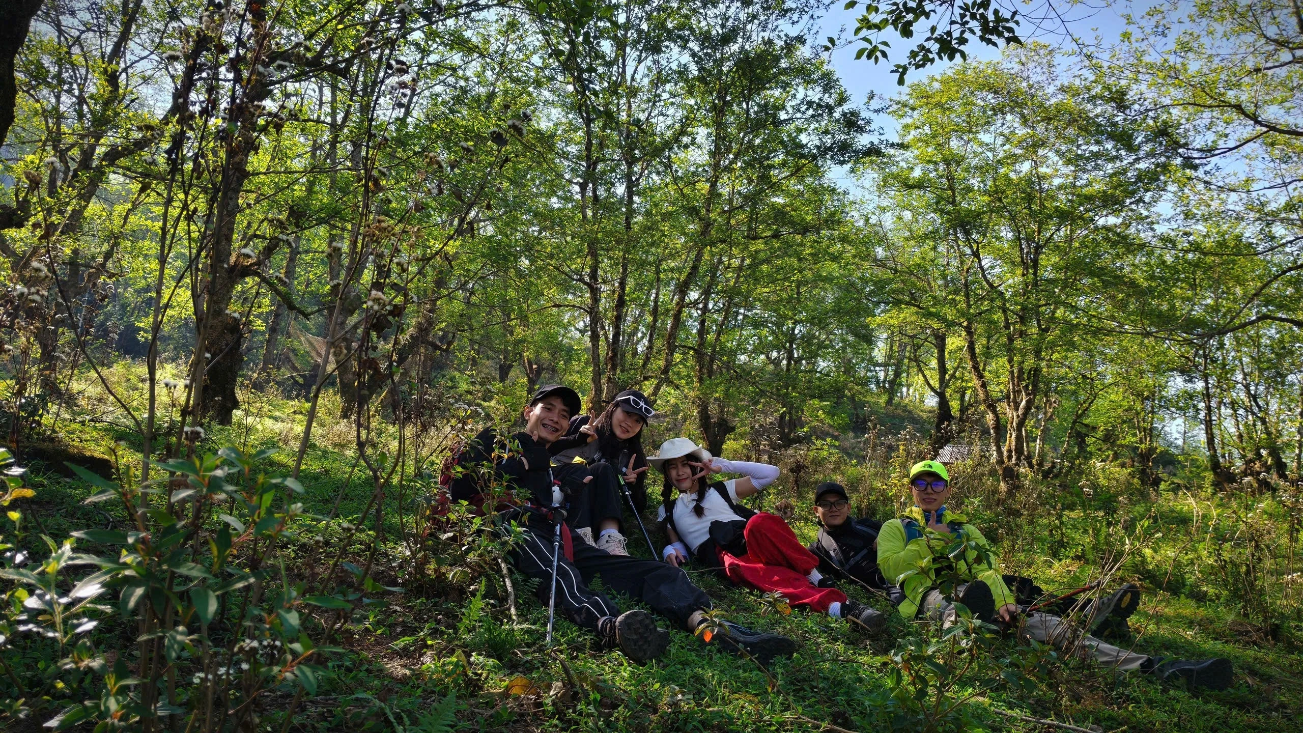 Nhóm trekking ngồi nghỉ dưới tán rừng xanh trên cung Lảo Thẩn