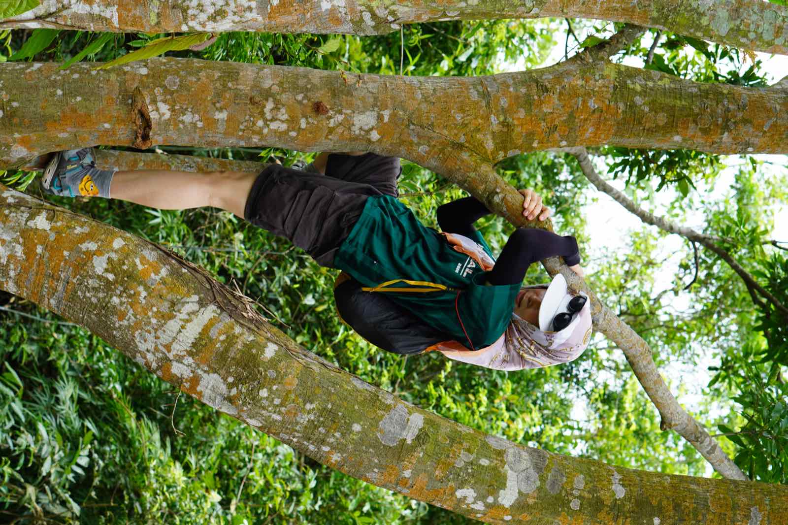 Ba Vì — Hà Nội