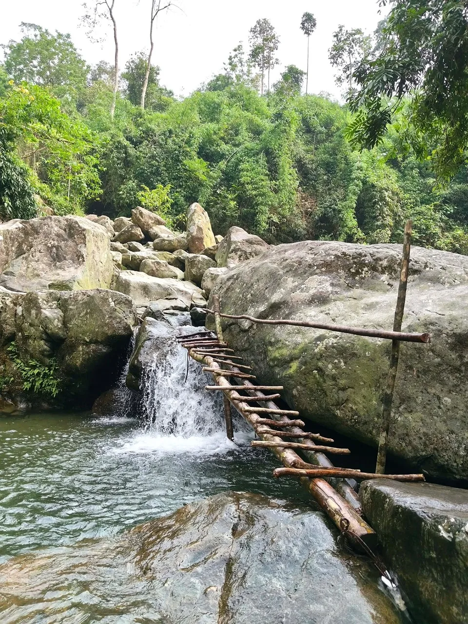 Cửa Tử — Thái Nguyên