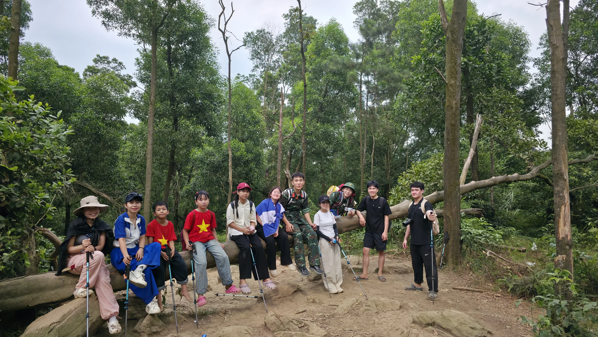 Đoàn trekking chụp ảnh lưu niệm bên gốc cây đổ trong rừng thông tại núi Hàm Lợn, Sóc Sơn